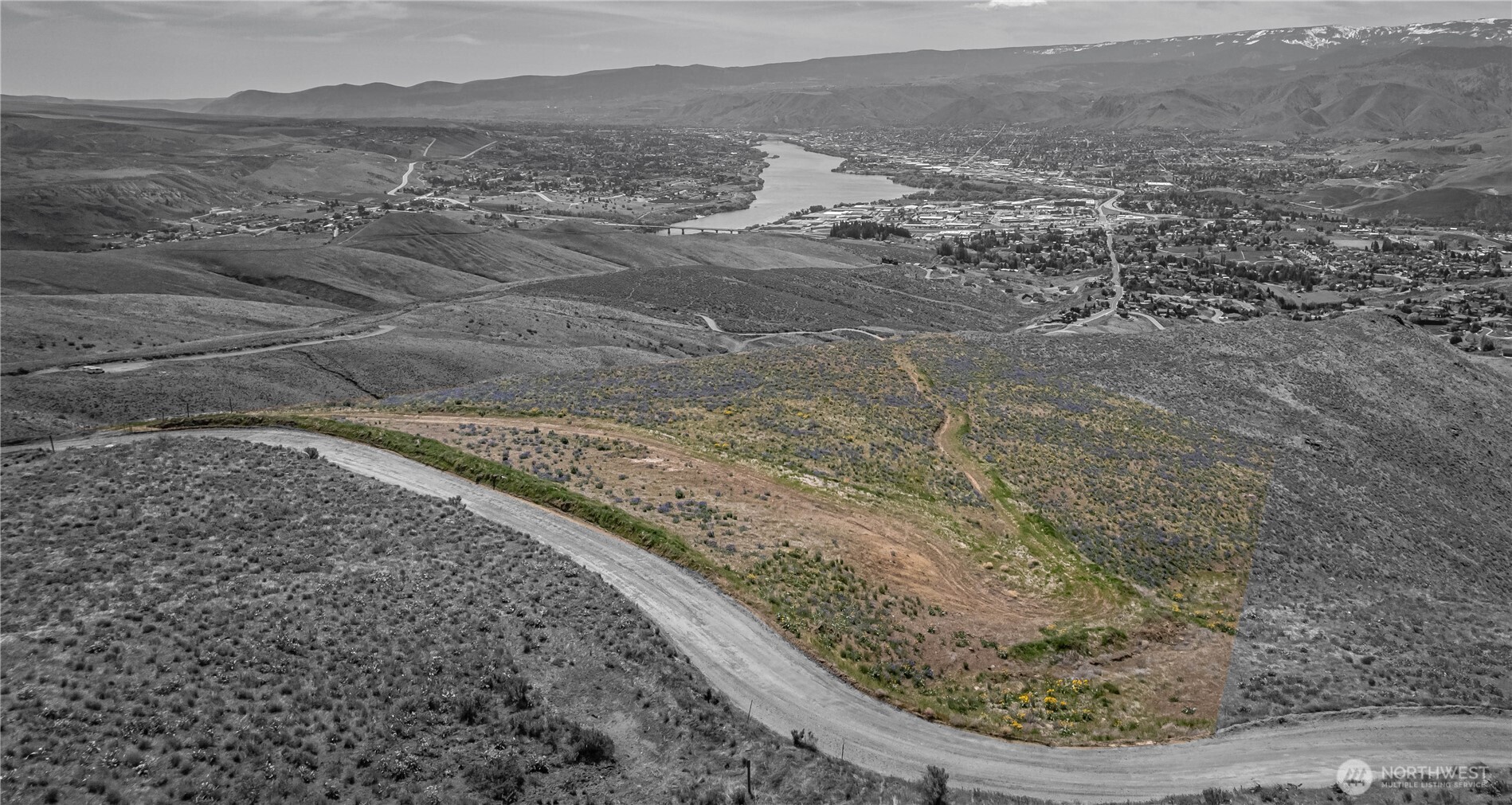 a view of a dry yard with wooden fence