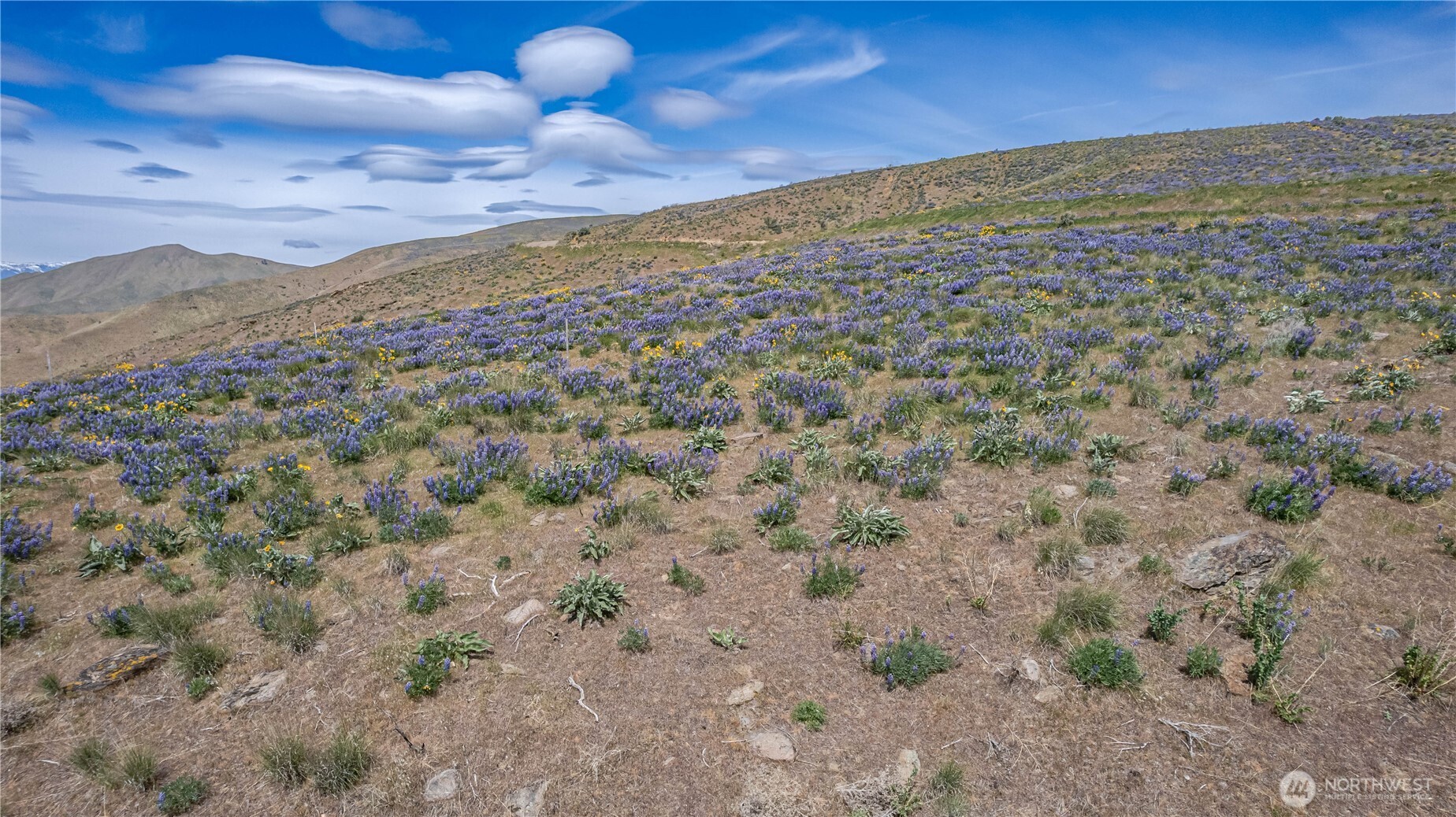 1 Burch Mountain Road Wenatchee, WA 98801 - Photo 11 of 34 a view of a field with an ocean