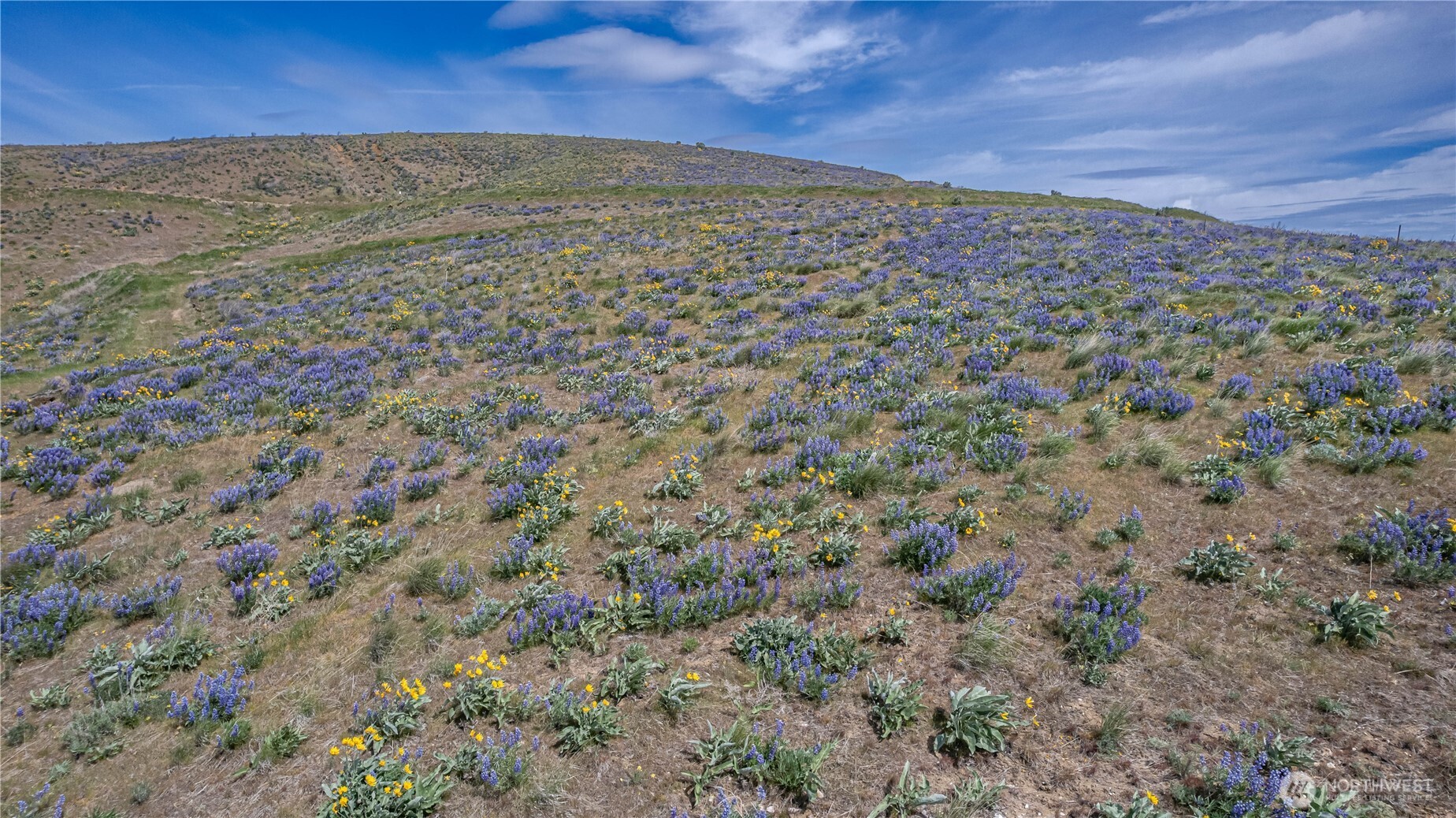 1 Burch Mountain Road Wenatchee, WA 98801 - Photo 12 of 34 a view of a yard with a dry yard