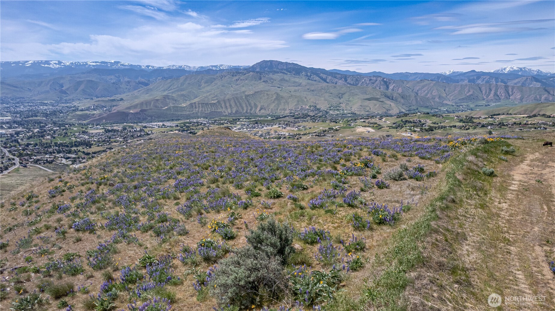1 Burch Mountain Road Wenatchee, WA 98801 - Photo 20 of 34 a view of a dry yard with mountains in the background
