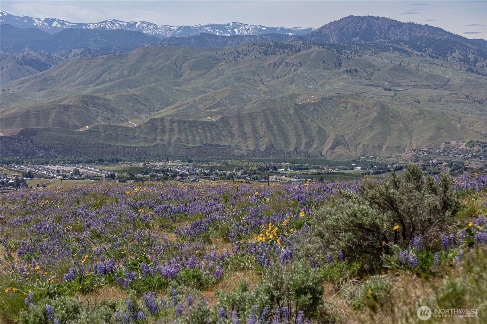 1 Burch Mountain Road Wenatchee, WA 98801 - Photo 24 of 34 a view of a dry field with trees in the background