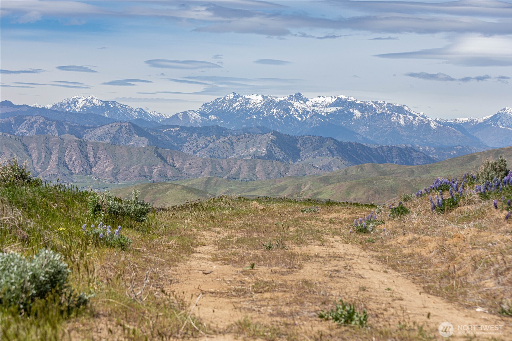 1 Burch Mountain Road Wenatchee, WA 98801 - Photo 25 of 34 a view of lot of tall trees