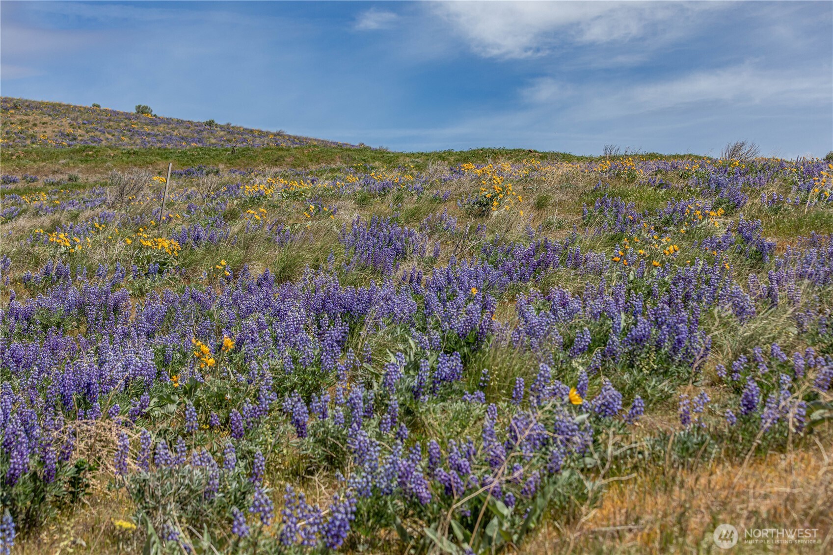 1 Burch Mountain Road Wenatchee, WA 98801 - Photo 27 of 34 a view of mountain