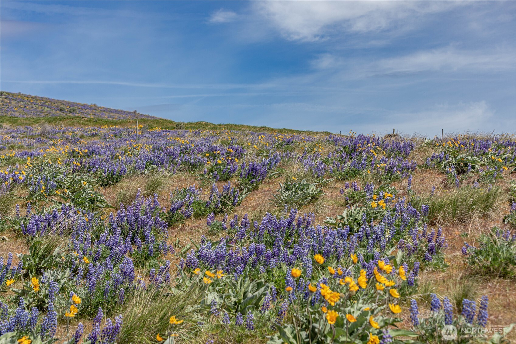 1 Burch Mountain Road Wenatchee, WA 98801 - Photo 29 of 34