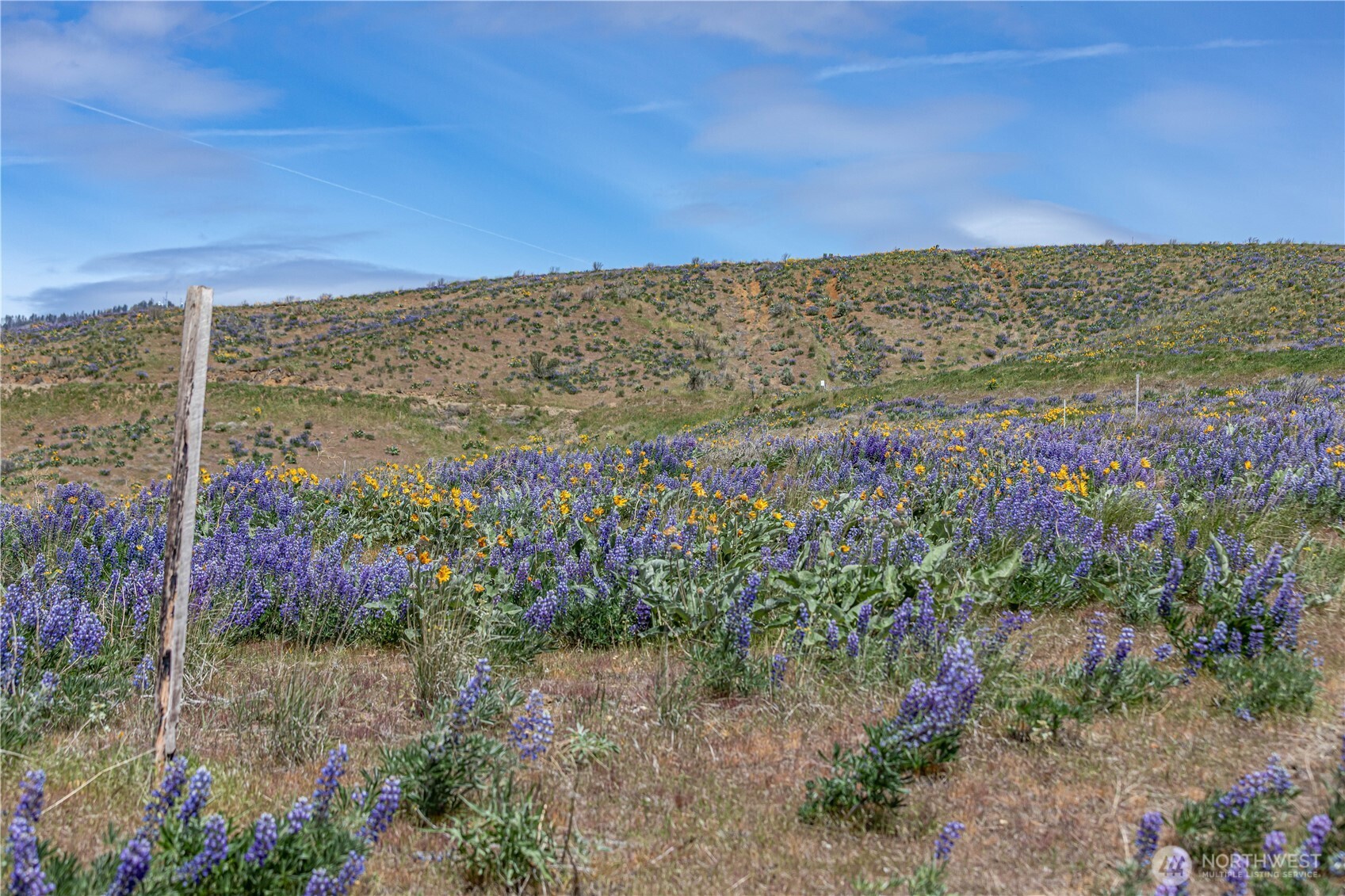 1 Burch Mountain Road Wenatchee, WA 98801 - Photo 30 of 34 a view of lake with a yard