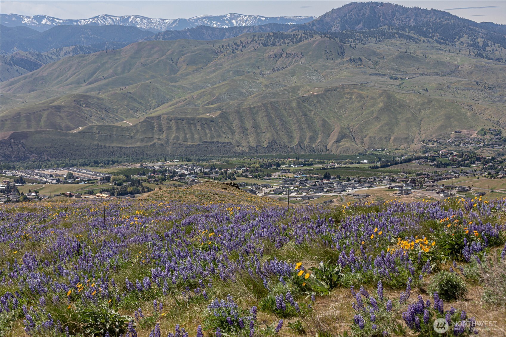 1 Burch Mountain Road Wenatchee, WA 98801 - Photo 32 of 34 a view of a dry field with trees in the background