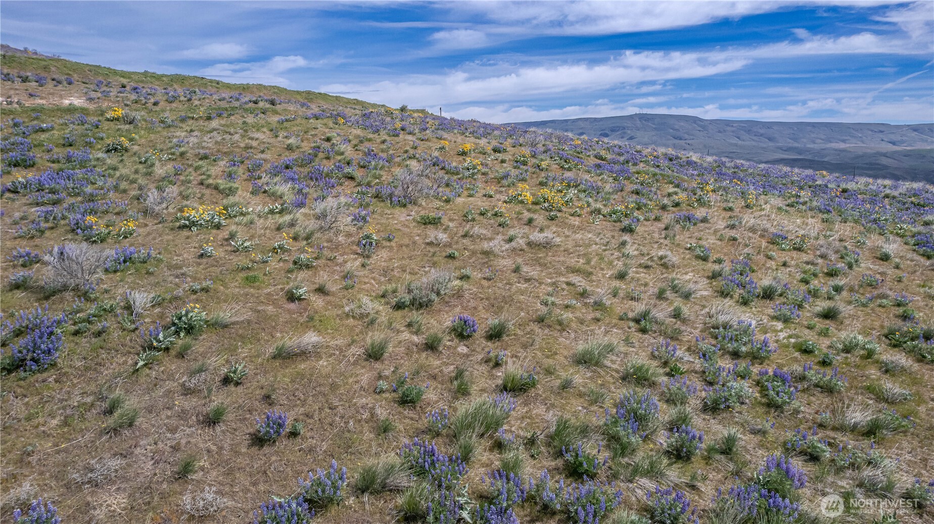 1 Burch Mountain Road Wenatchee, WA 98801 - Photo 5 of 34 a view of a field