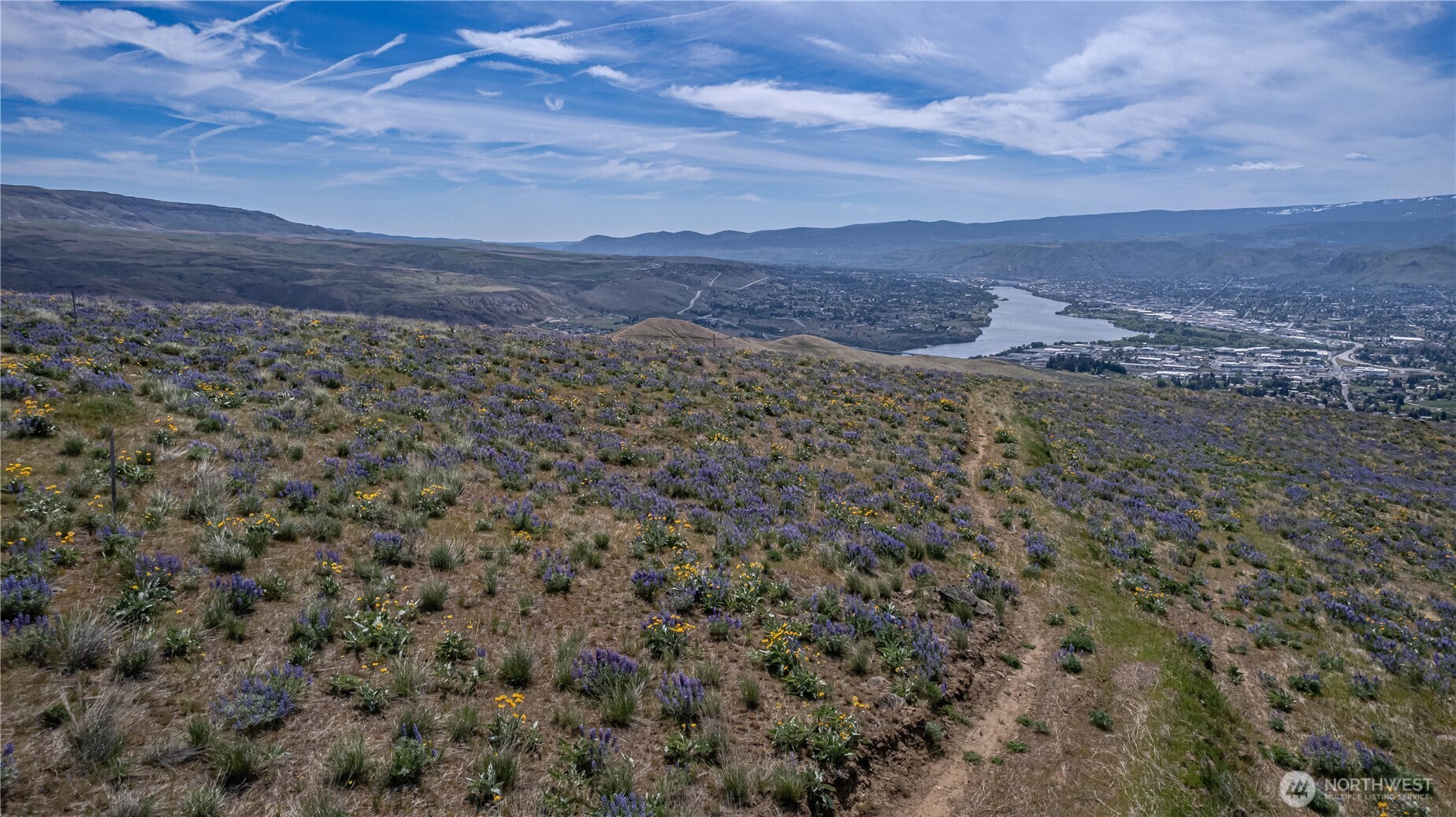 1 Burch Mountain Road Wenatchee, WA 98801 - Photo 6 of 34 a view of a large yard with a mountain in the background