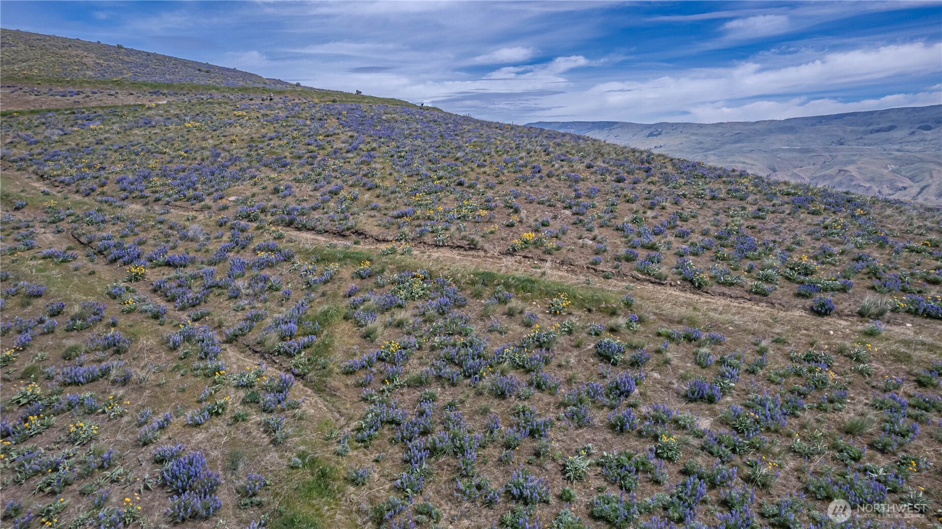 1 Burch Mountain Road Wenatchee, WA 98801 - Photo 7 of 34 a view of a field with an outdoor space