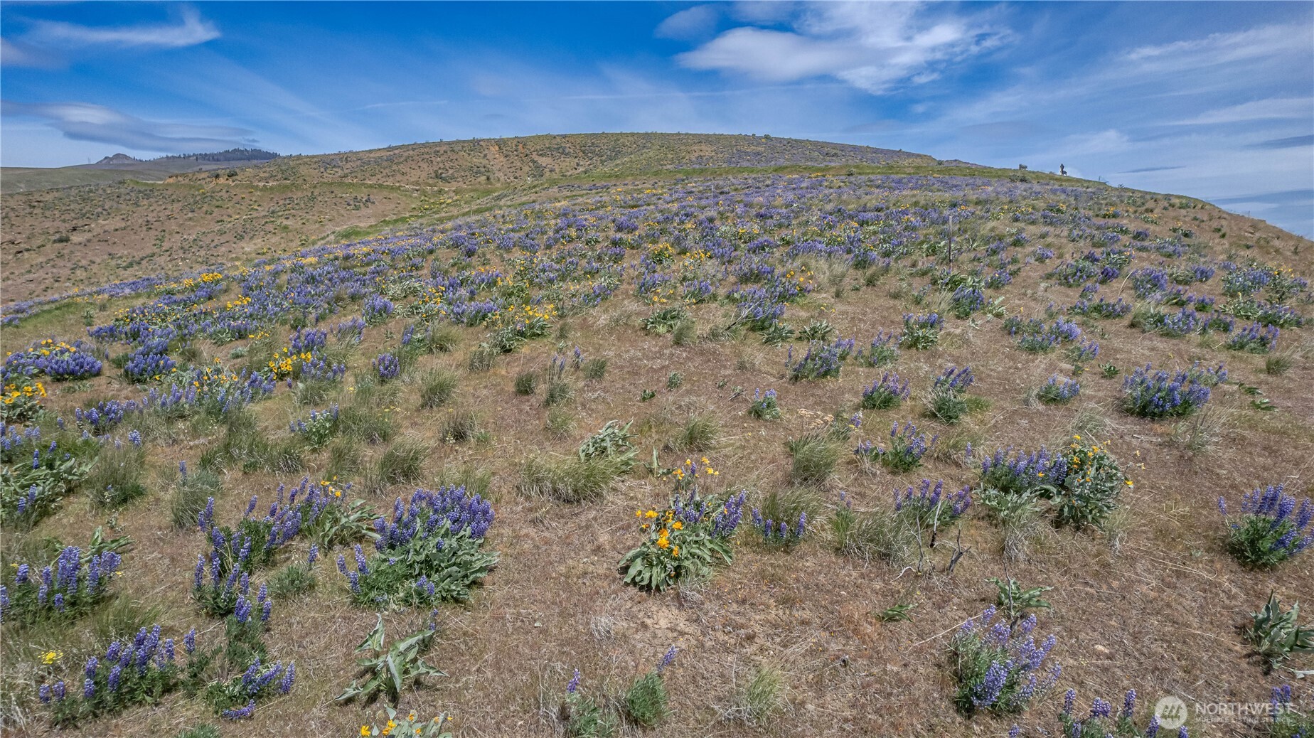 1 Burch Mountain Road Wenatchee, WA 98801 - Photo 8 of 34 a view of a field with an outdoor space