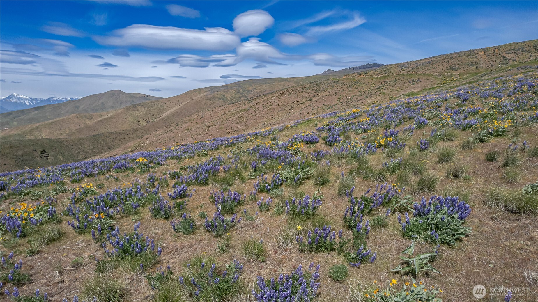 1 Burch Mountain Road Wenatchee, WA 98801 - Photo 9 of 34 a view of mountains and valleys