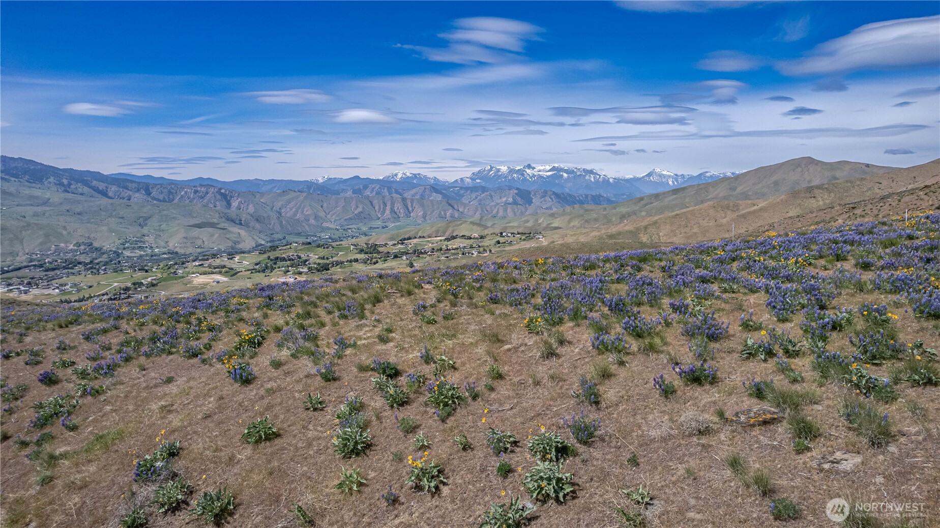 1 Burch Mountain Road Wenatchee, WA 98801 - Photo 10 of 34 a view of a dry yard with mountains in the background