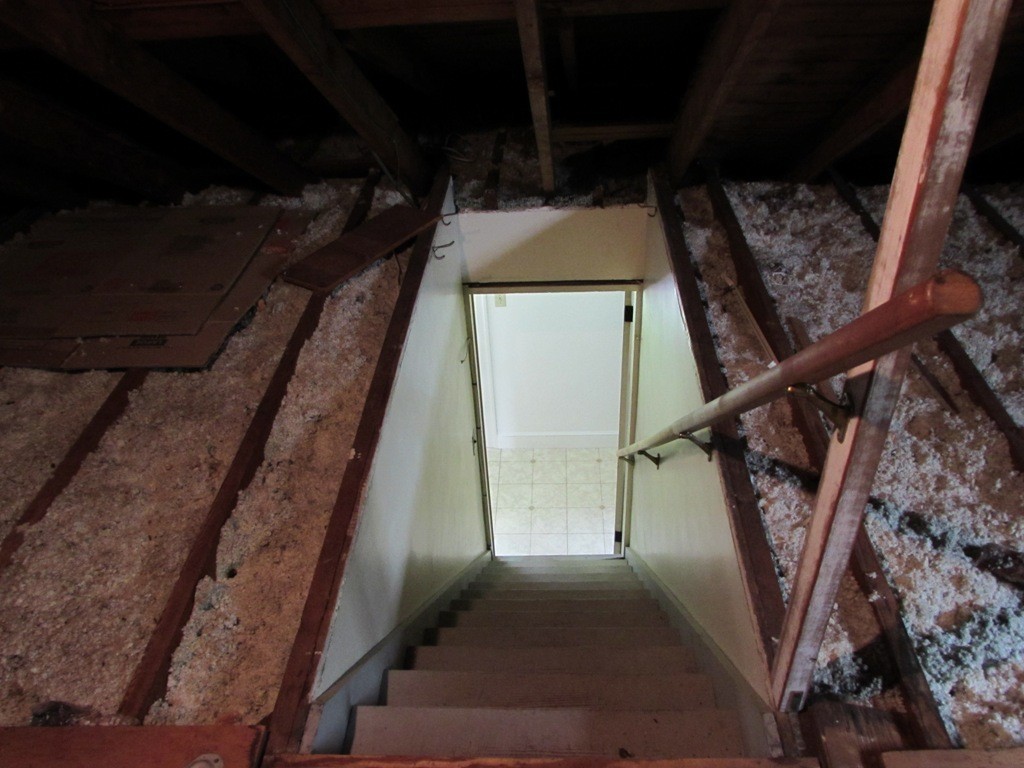 51 Ideal Road Worcester, MA 01604 - Photo 19 of 29 Gallery Image 19