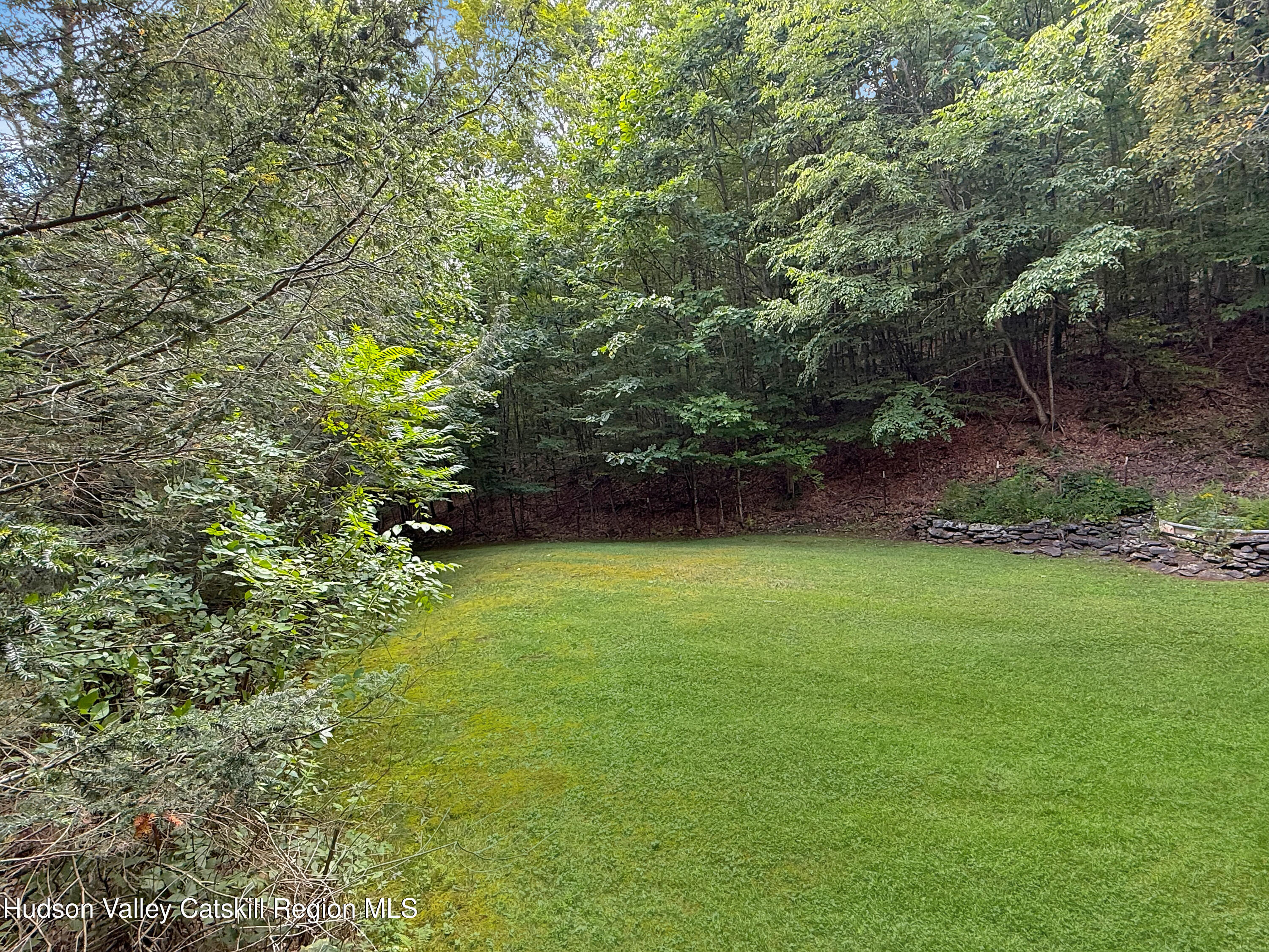 289 Red Falls Road Ashland, NY 12468 - Photo 38 of 44 a view of a yard with a tree