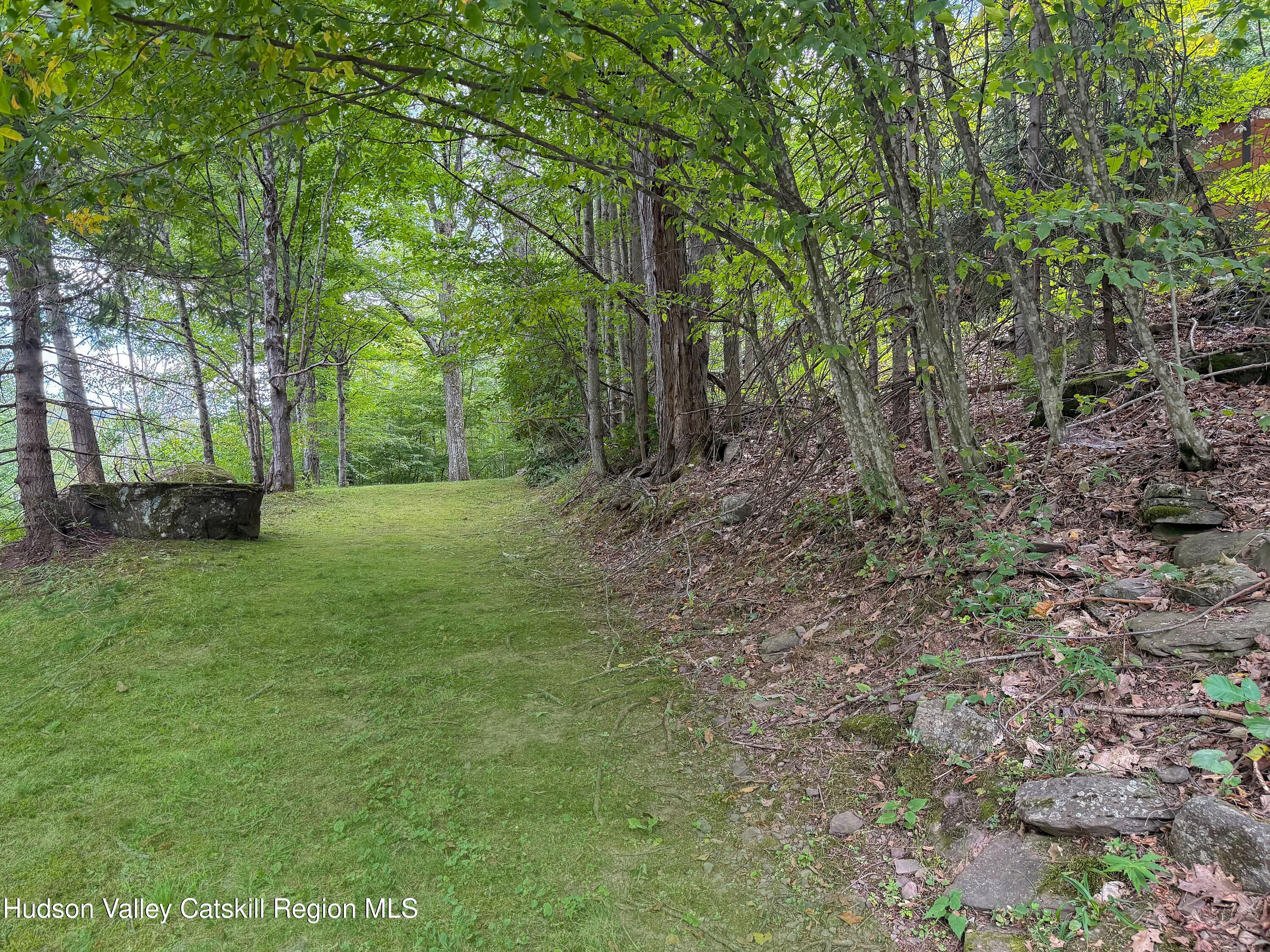 289 Red Falls Road Ashland, NY 12468 - Photo 39 of 44 a view of a grassy field with trees