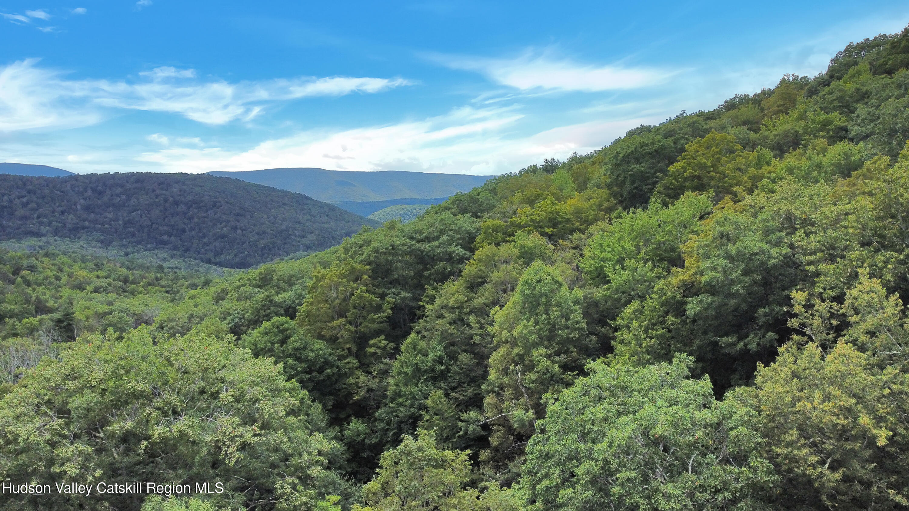 289 Red Falls Road Ashland, NY 12468 - Photo 41 of 44 a view of a lush green forest with lots of trees