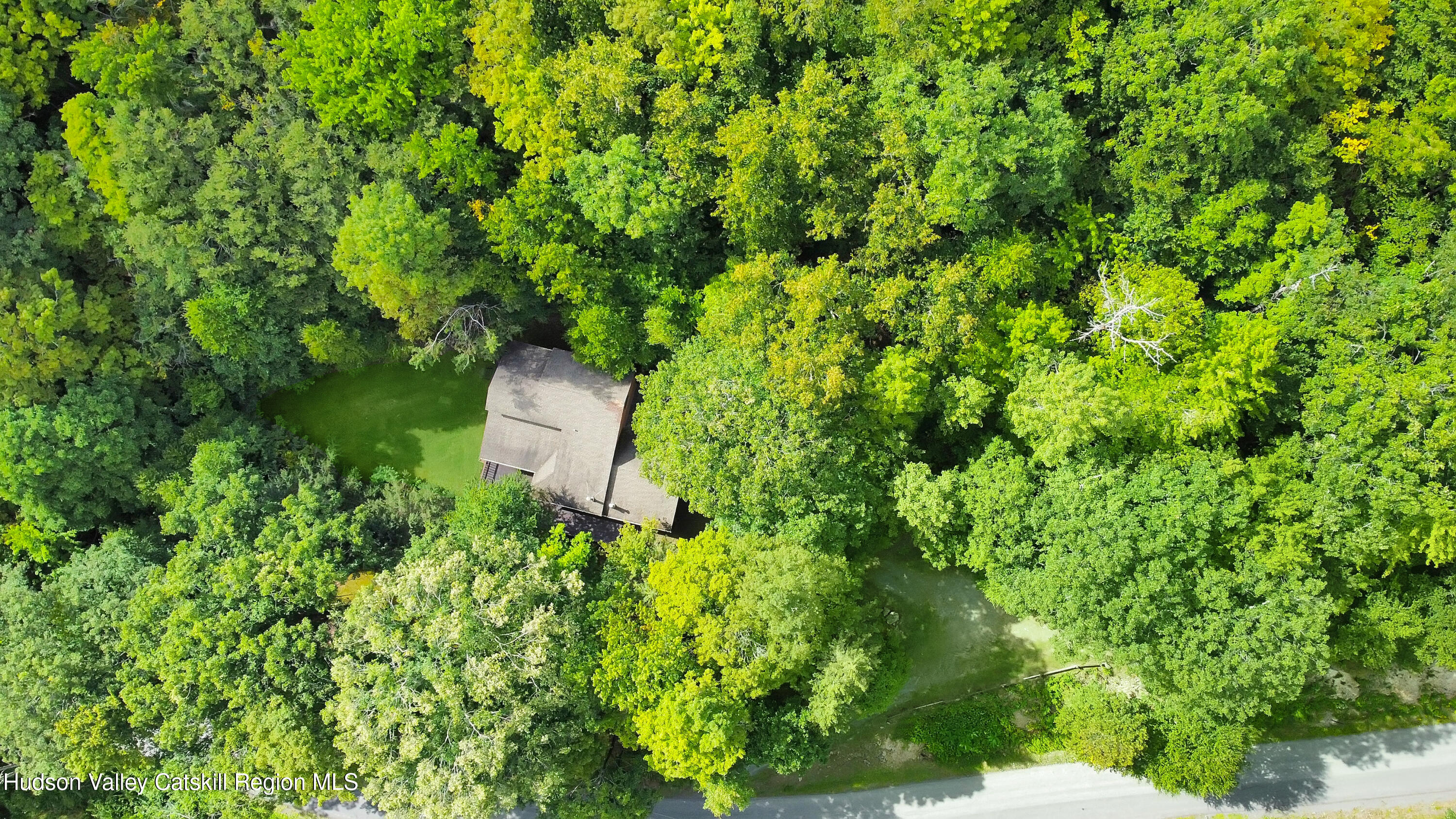 289 Red Falls Road Ashland, NY 12468 - Photo 7 of 44 a backyard of a house with lots of green space and garden