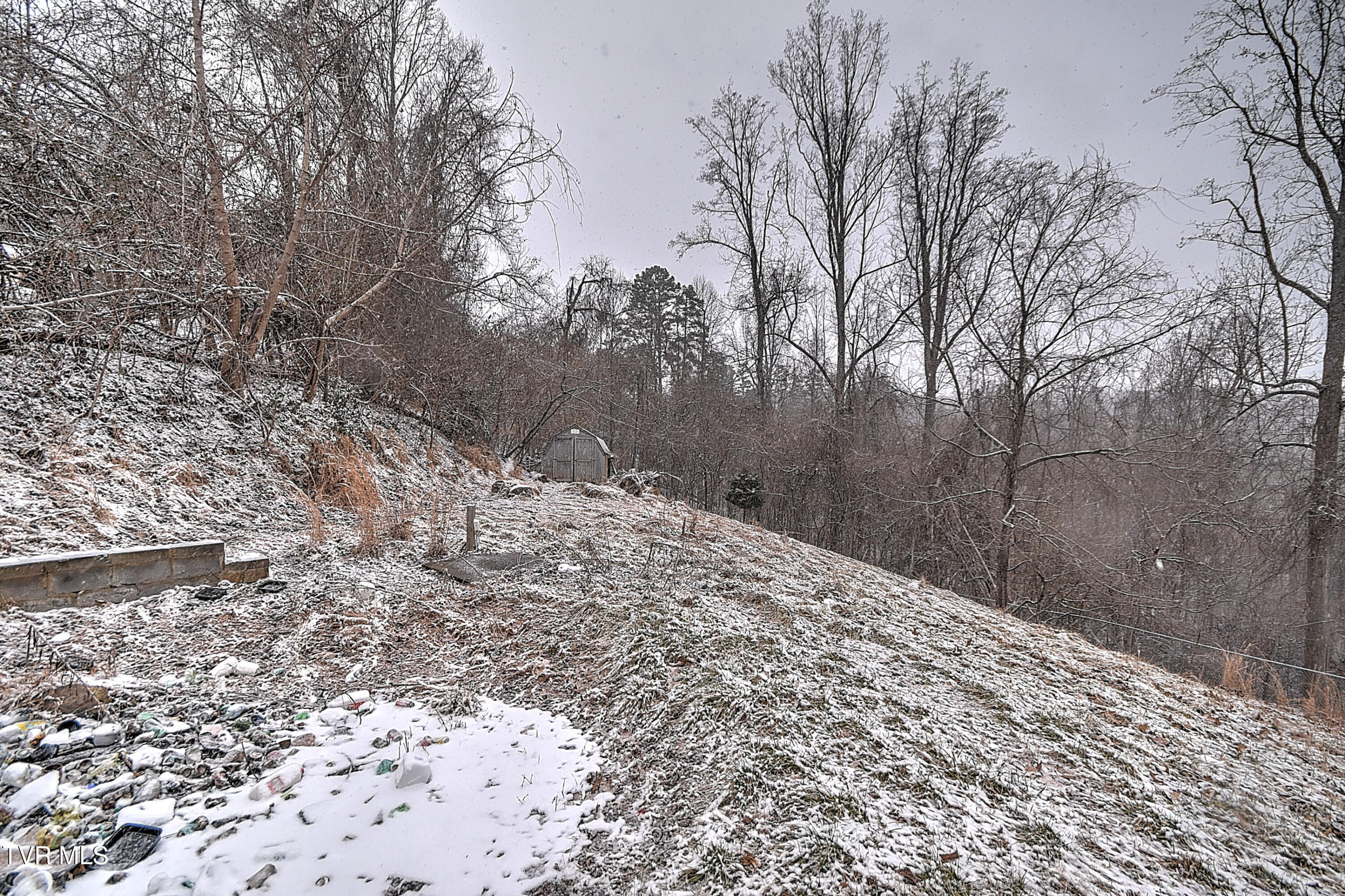 126 Whitehills Road Kingsport, TN 37660 - Photo 18 of 20 126 Whitehills CP-18