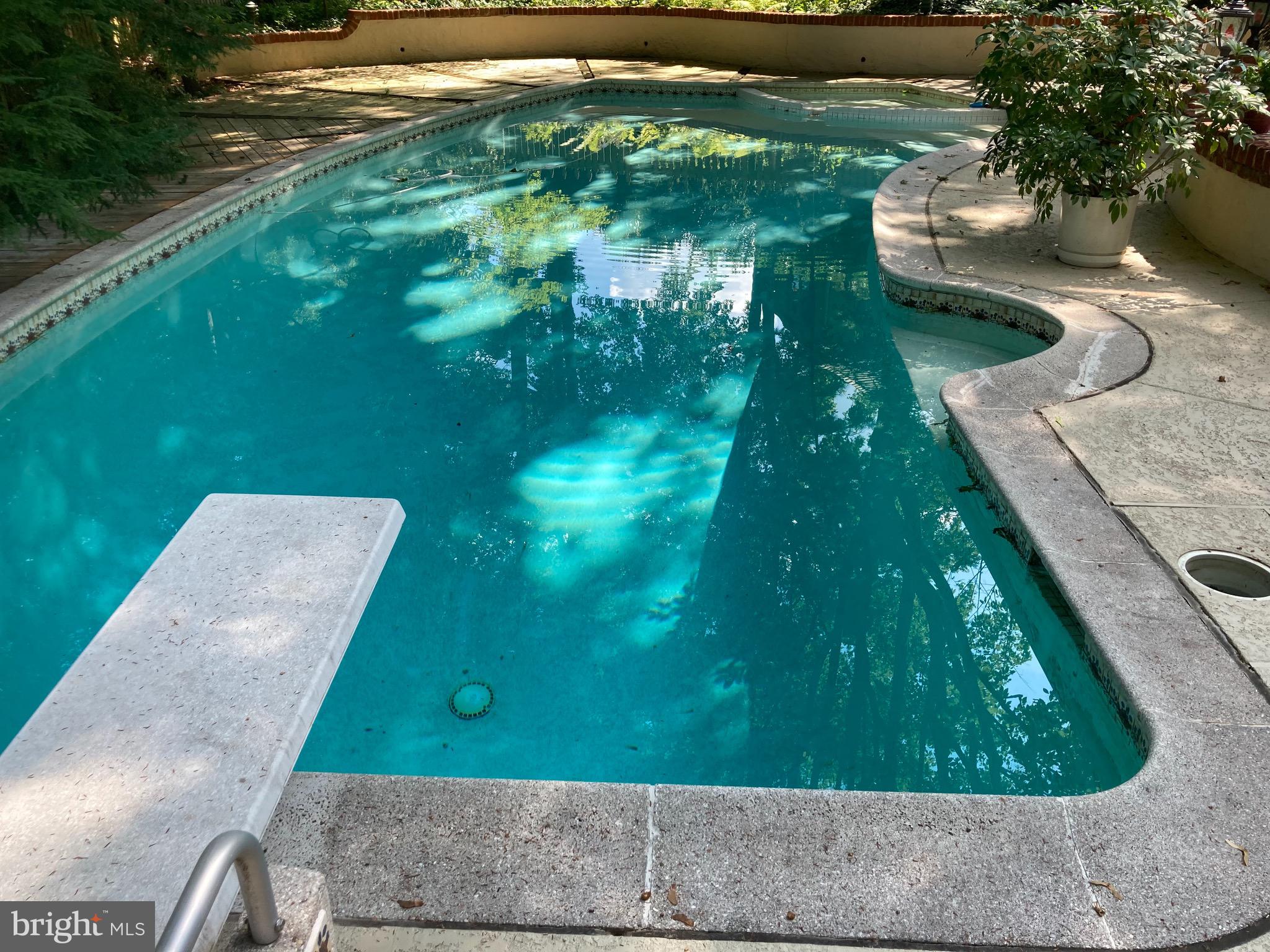 131 Woods Lane Wayne, PA 19087 - Photo 30 of 34 summer pool pic