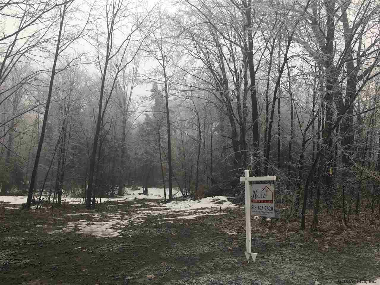 0 Dingman Road Fort Plain, NY 13339 - Photo 1 of 2 Photo 1