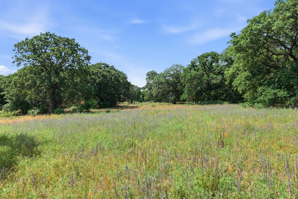 3523 East Highway 199 Springtown, TX 76082 - Photo 39 of 40