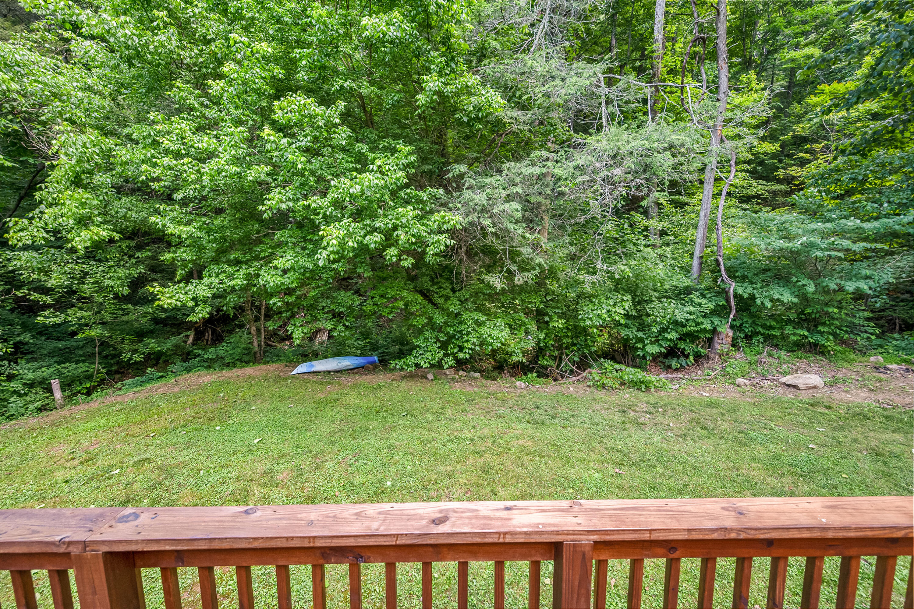 370 Ambrose Road Elliston, VA 24087 - Photo 47 of 63 a view of a yard