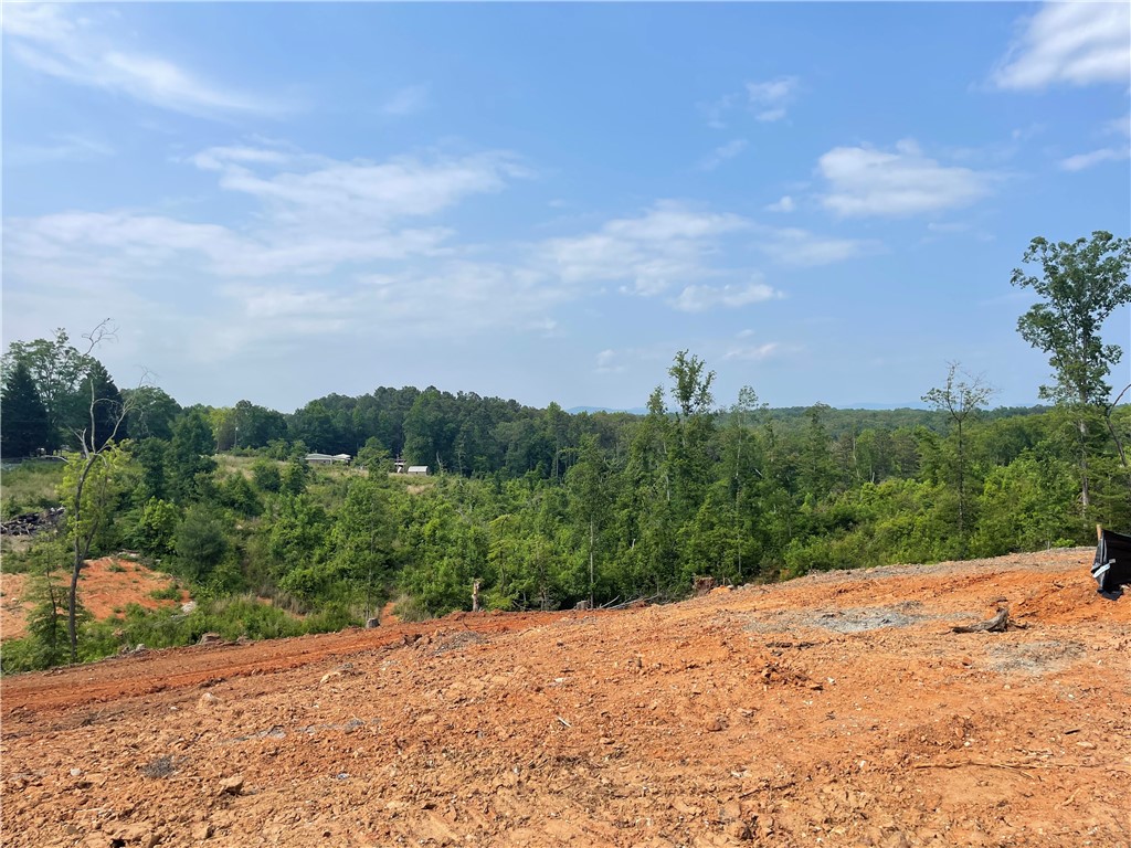 600 Shallow Ford Road Salem, SC 29676 - Photo 5 of 16 Gallery Image 5