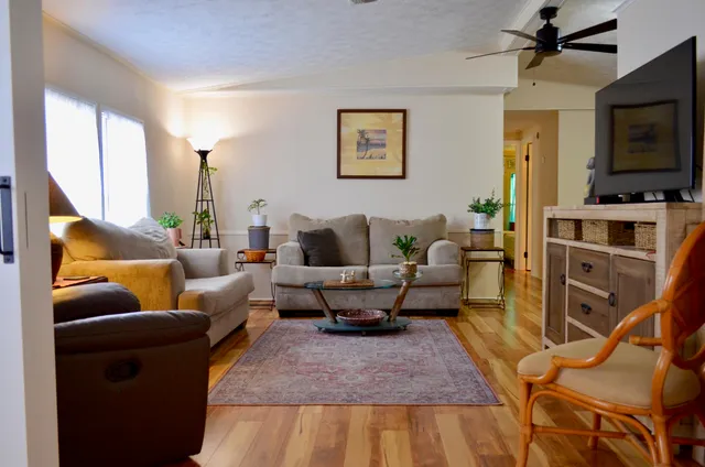 a living room with furniture and a potted plant