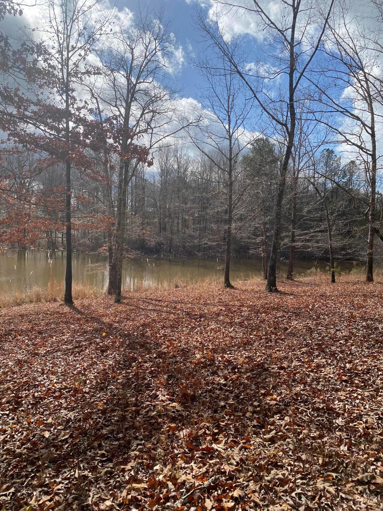 111 Cheatham Road Carbon Hill, AL 35549 - Photo 6 of 7 Gallery Image 6