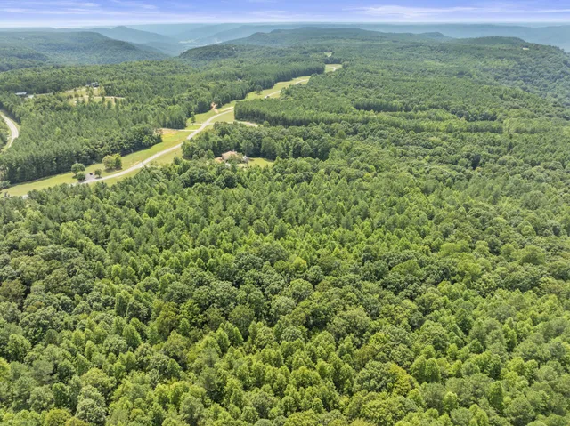 a view of a green field with lots of green space
