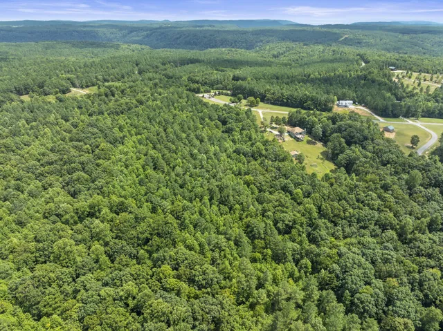 a view of a lush green outdoor space with a lake view