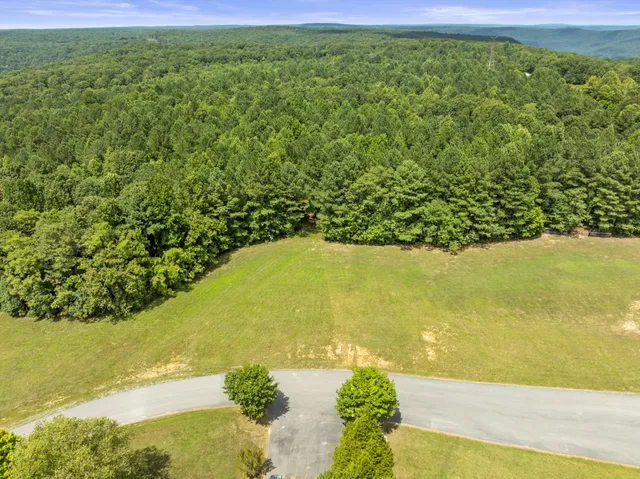 a view of an ocean and a yard