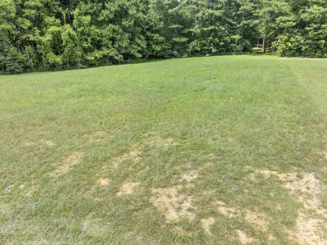 a view of a field with an outdoor space