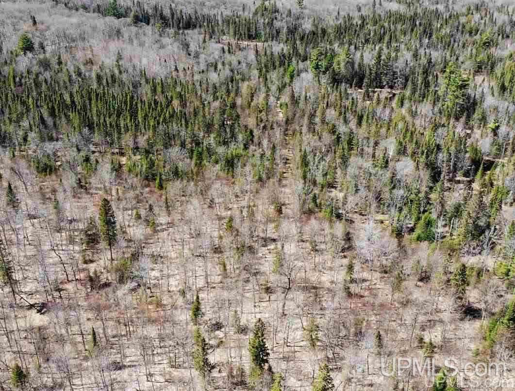 Tbd Celotex Road Michigamme, MI 49946 - Photo 7 of 25