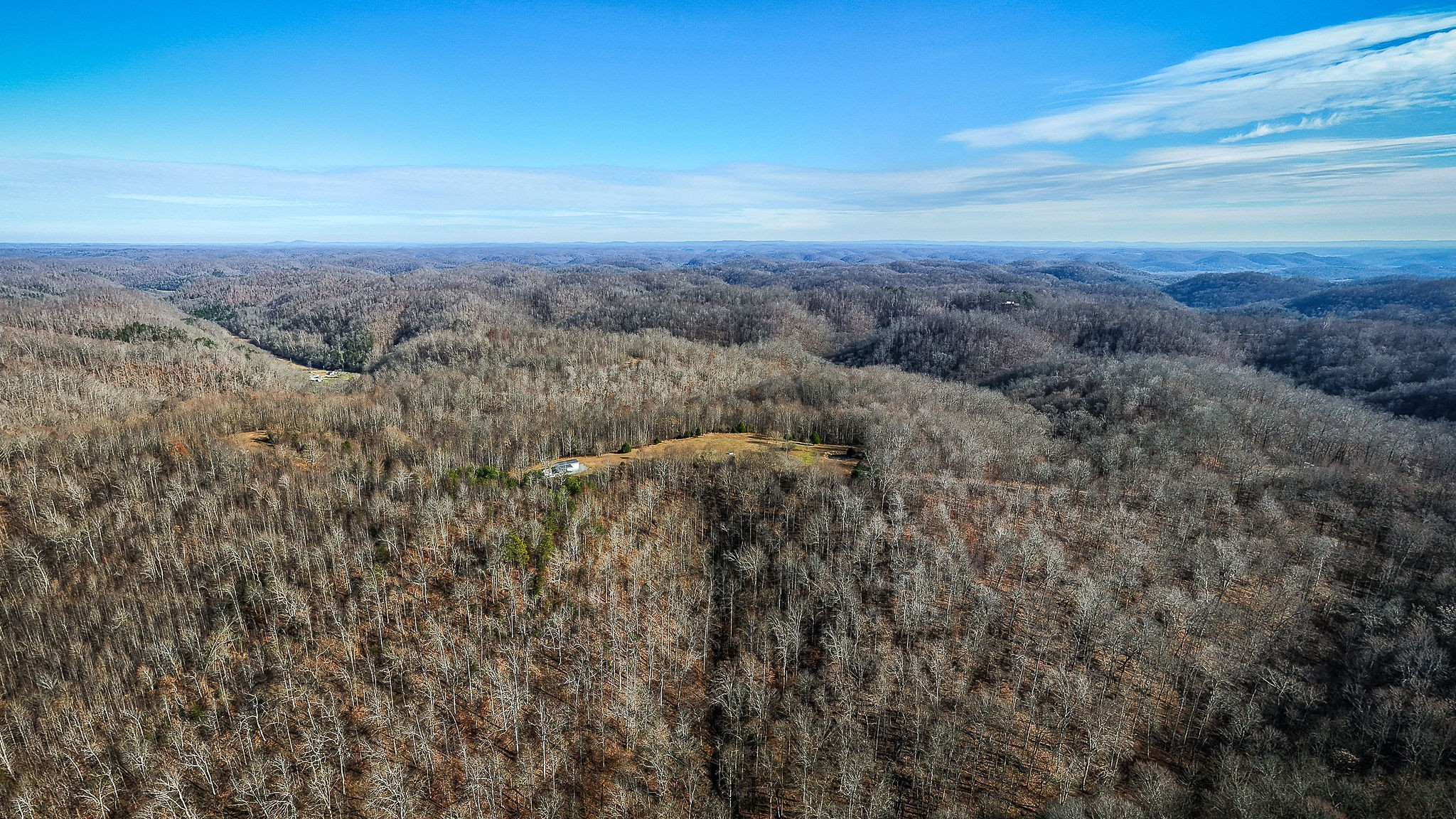 1772 South Fork Road Whitleyville, TN 38588 - Photo 12 of 38 a view of a city with lush green forest