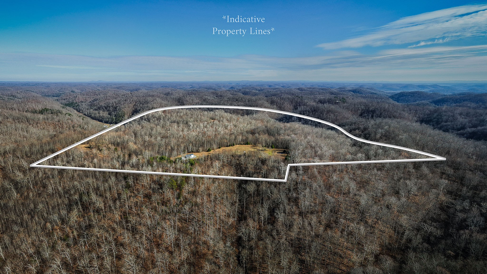 1772 South Fork Road Whitleyville, TN 38588 - Photo 13 of 38 a view of a dry yard with wooden fence