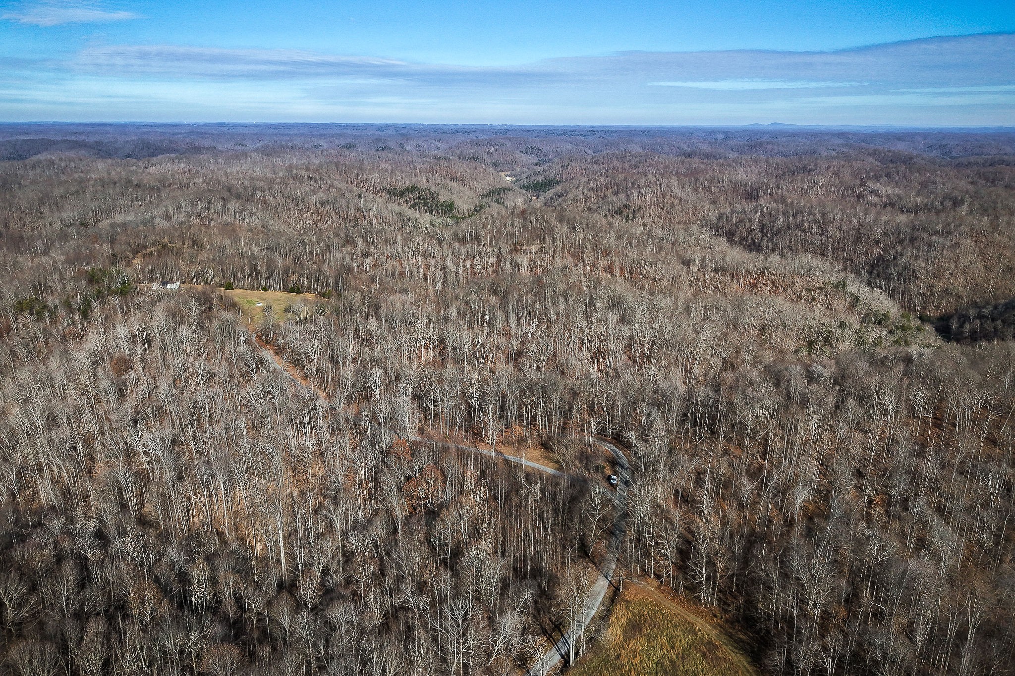 1772 South Fork Road Whitleyville, TN 38588 - Photo 14 of 38 a view of a large yard with green space