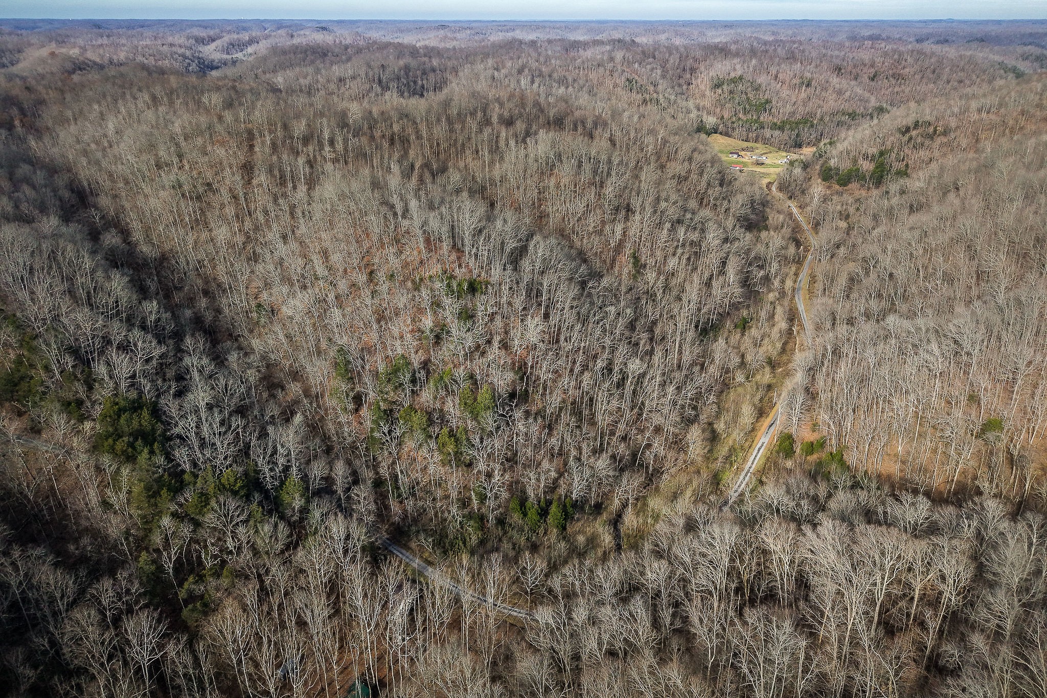 1772 South Fork Road Whitleyville, TN 38588 - Photo 16 of 38 a view of a dry yard