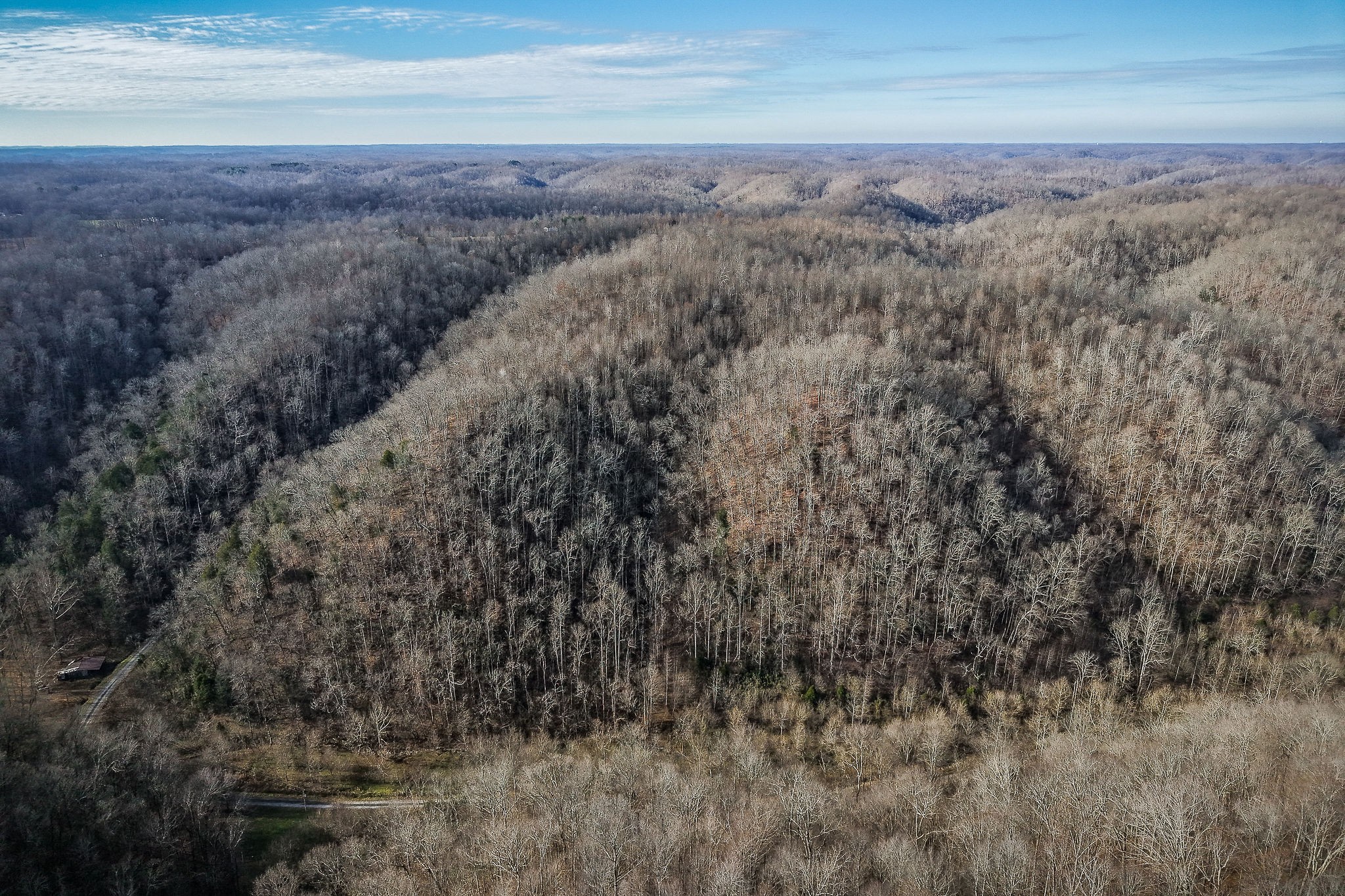 1772 South Fork Road Whitleyville, TN 38588 - Photo 17 of 38 a view of a dry yard