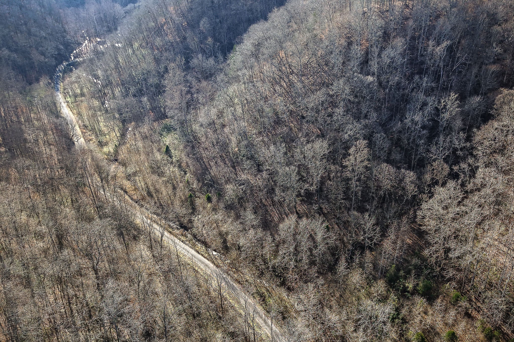 1772 South Fork Road Whitleyville, TN 38588 - Photo 19 of 38 a view of a dry yard