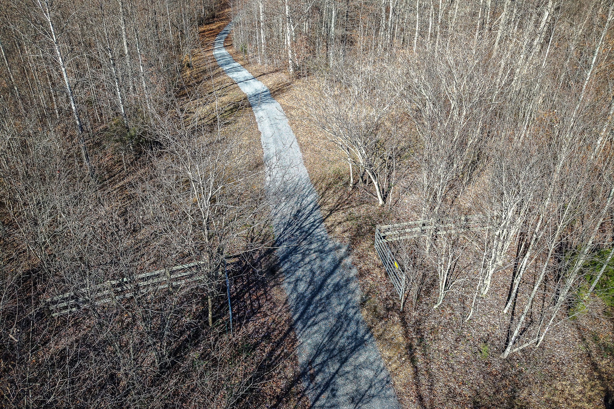 1772 South Fork Road Whitleyville, TN 38588 - Photo 20 of 38 a close up of a plant