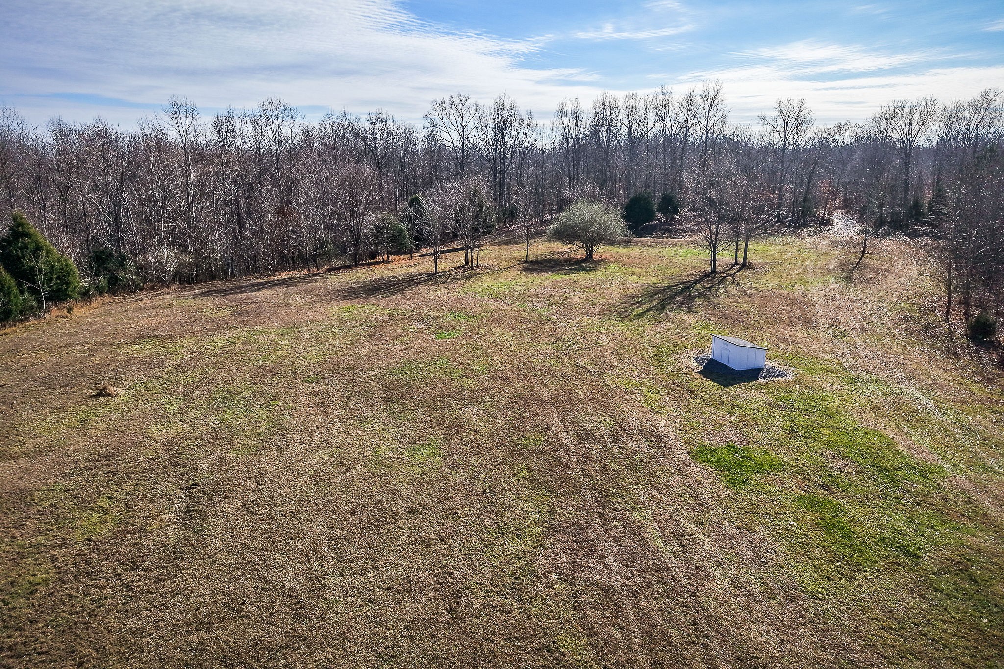 1772 South Fork Road Whitleyville, TN 38588 - Photo 21 of 38 a backyard of a house with trees in the background