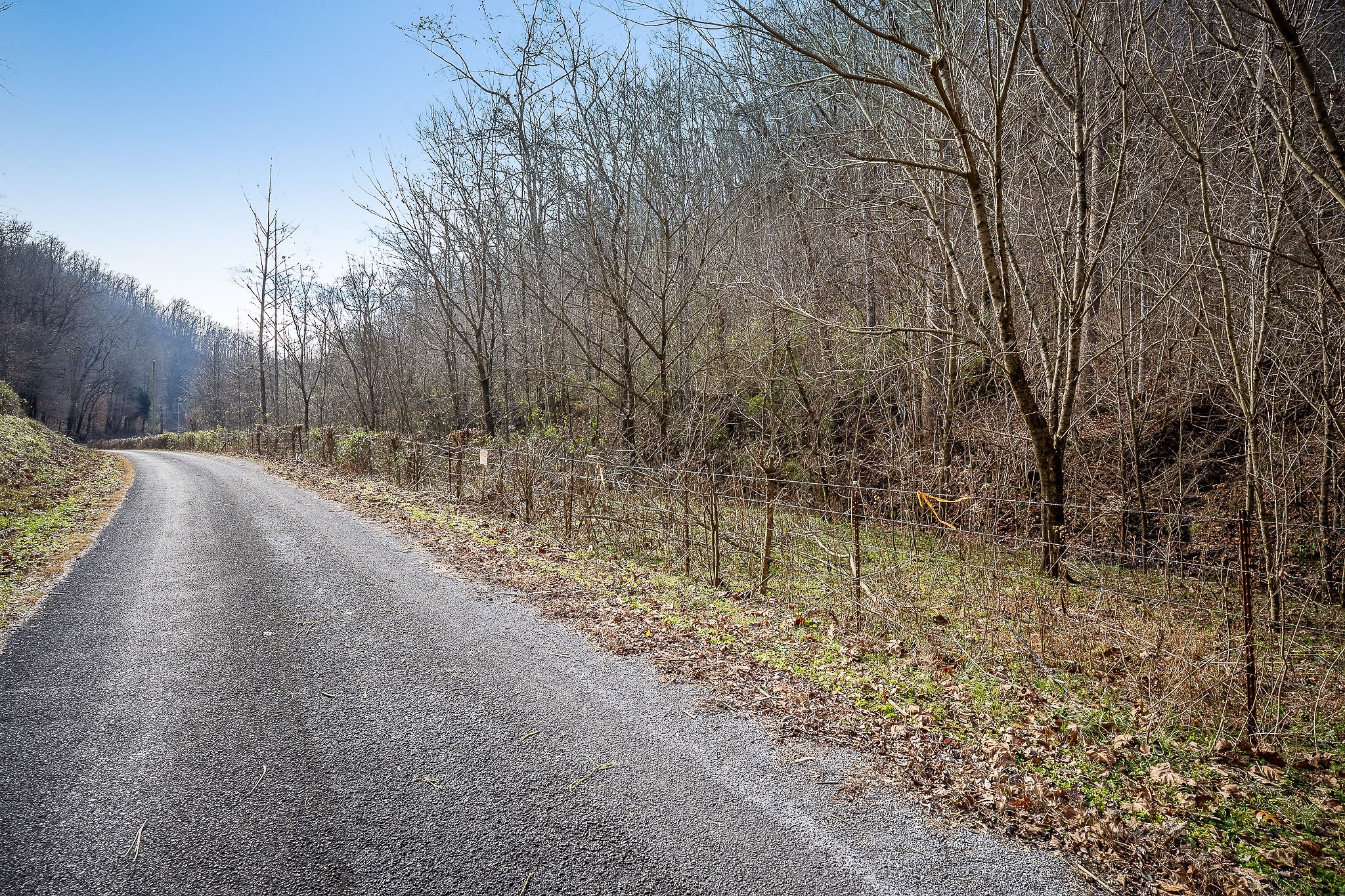 1772 South Fork Road Whitleyville, TN 38588 - Photo 22 of 38 a backyard of a house with lots of green space
