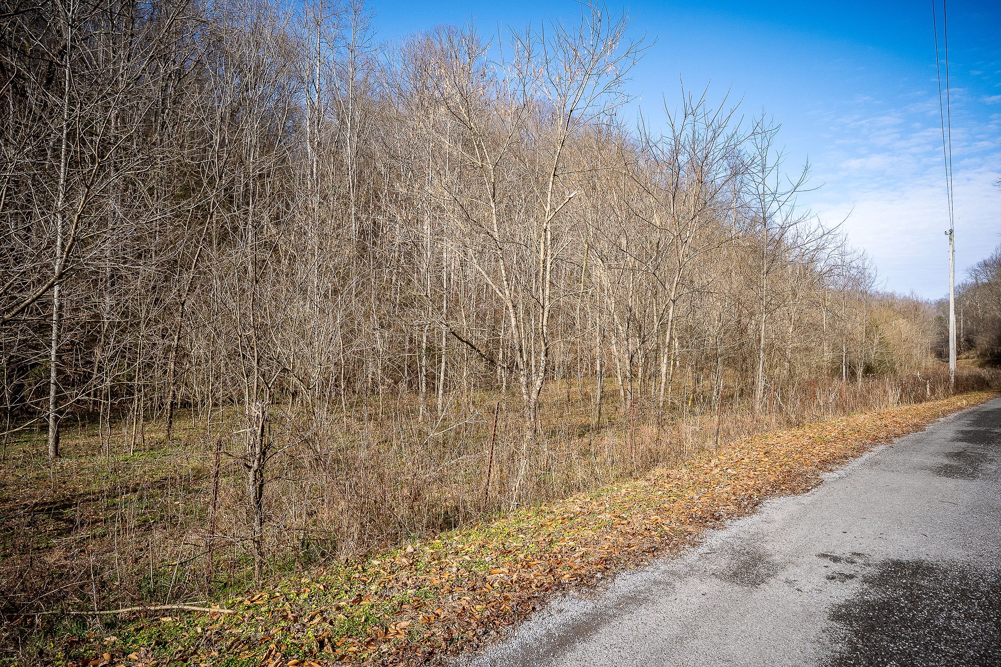 1772 South Fork Road Whitleyville, TN 38588 - Photo 23 of 38 a backyard of a house