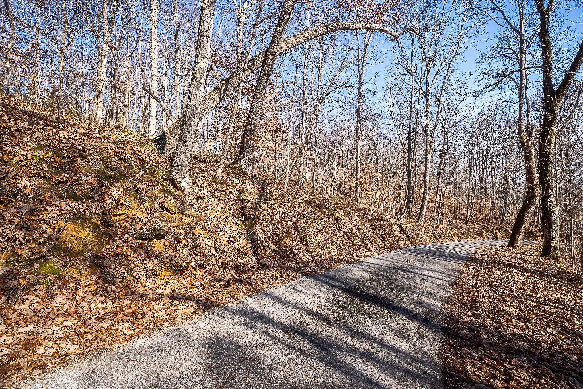 1772 South Fork Road Whitleyville, TN 38588 - Photo 27 of 38 a view of a yard with wooden fence