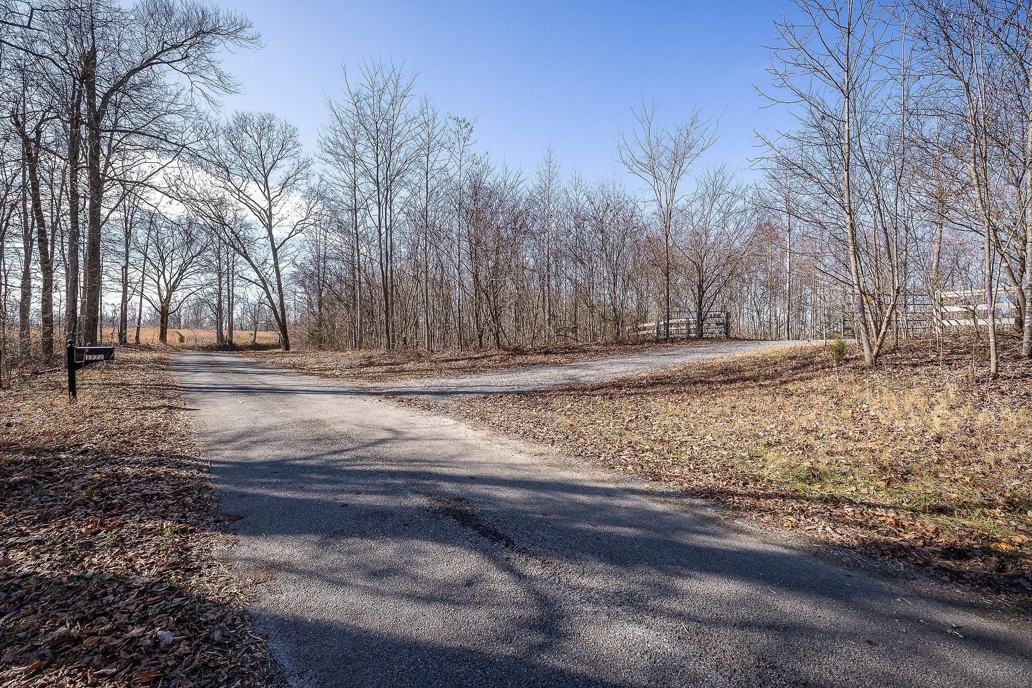 1772 South Fork Road Whitleyville, TN 38588 - Photo 28 of 38 a view of yard with tree