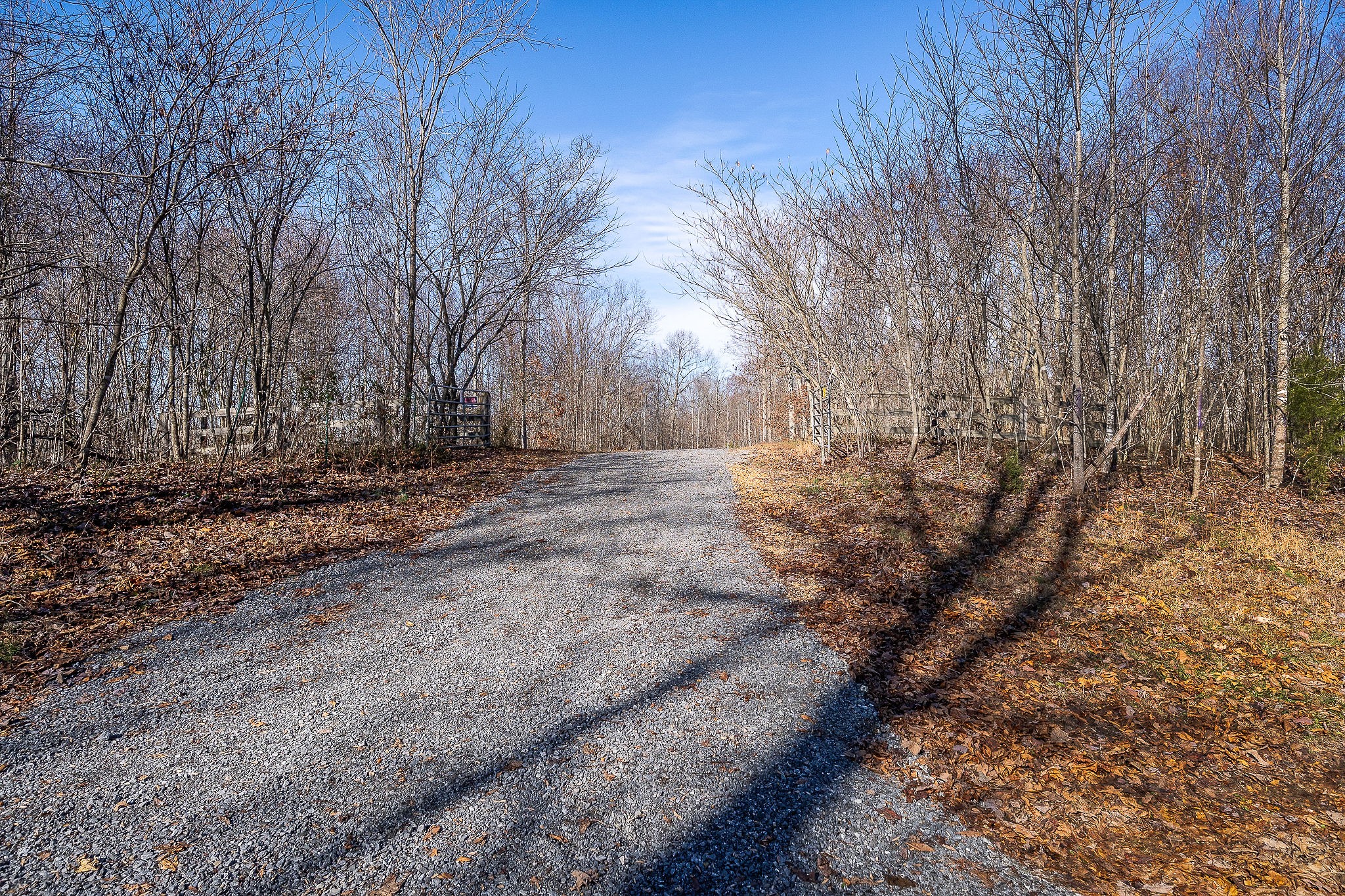 1772 South Fork Road Whitleyville, TN 38588 - Photo 29 of 38 a view of dirt yard with a large tree