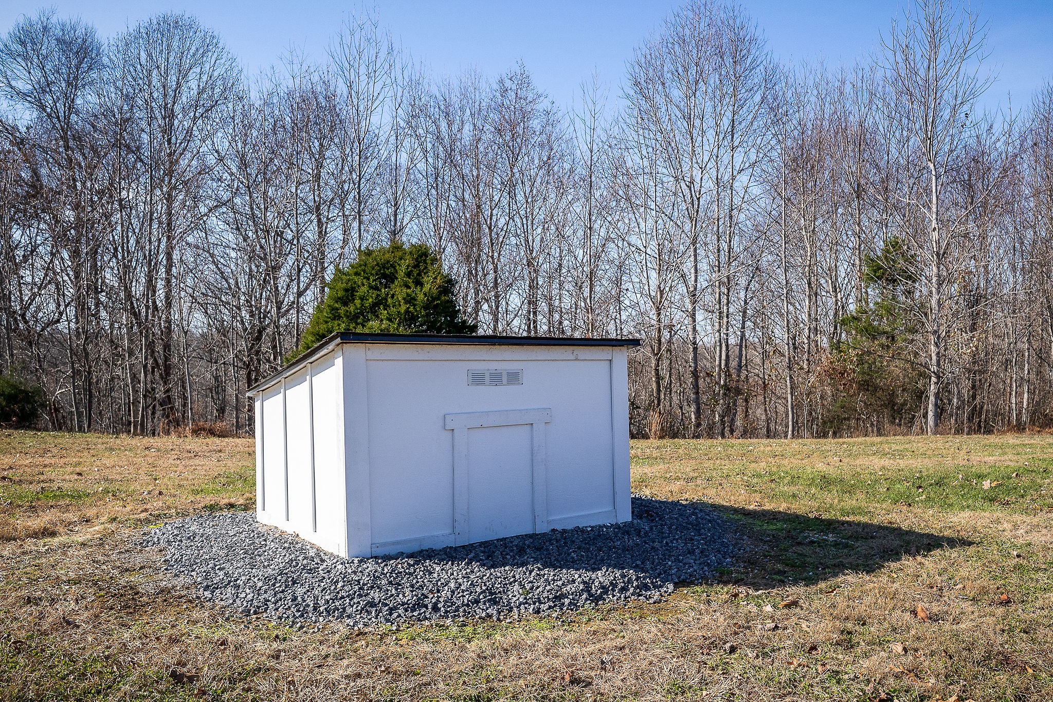 1772 South Fork Road Whitleyville, TN 38588 - Photo 31 of 38 a view of a dry yard with large trees