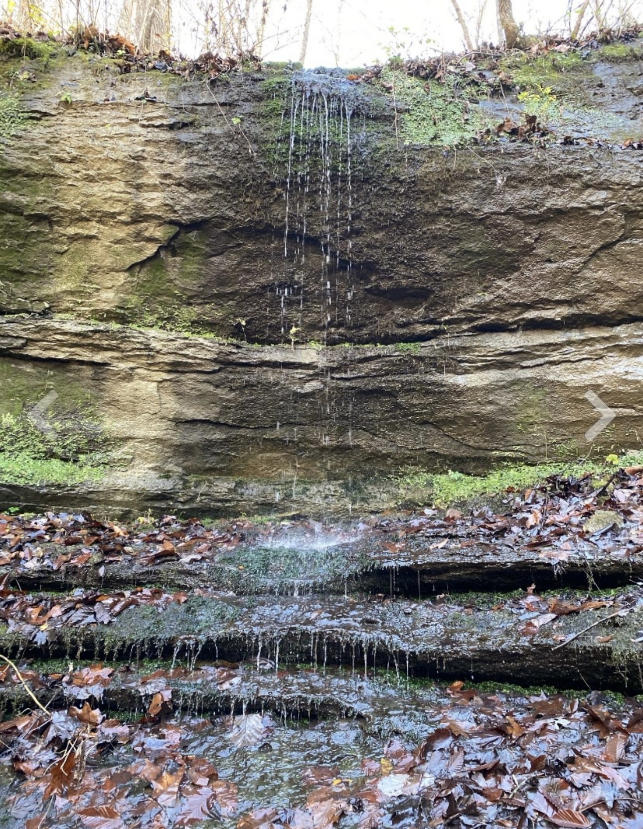 1772 South Fork Road Whitleyville, TN 38588 - Photo 37 of 38 a view of a water with an ocean beach