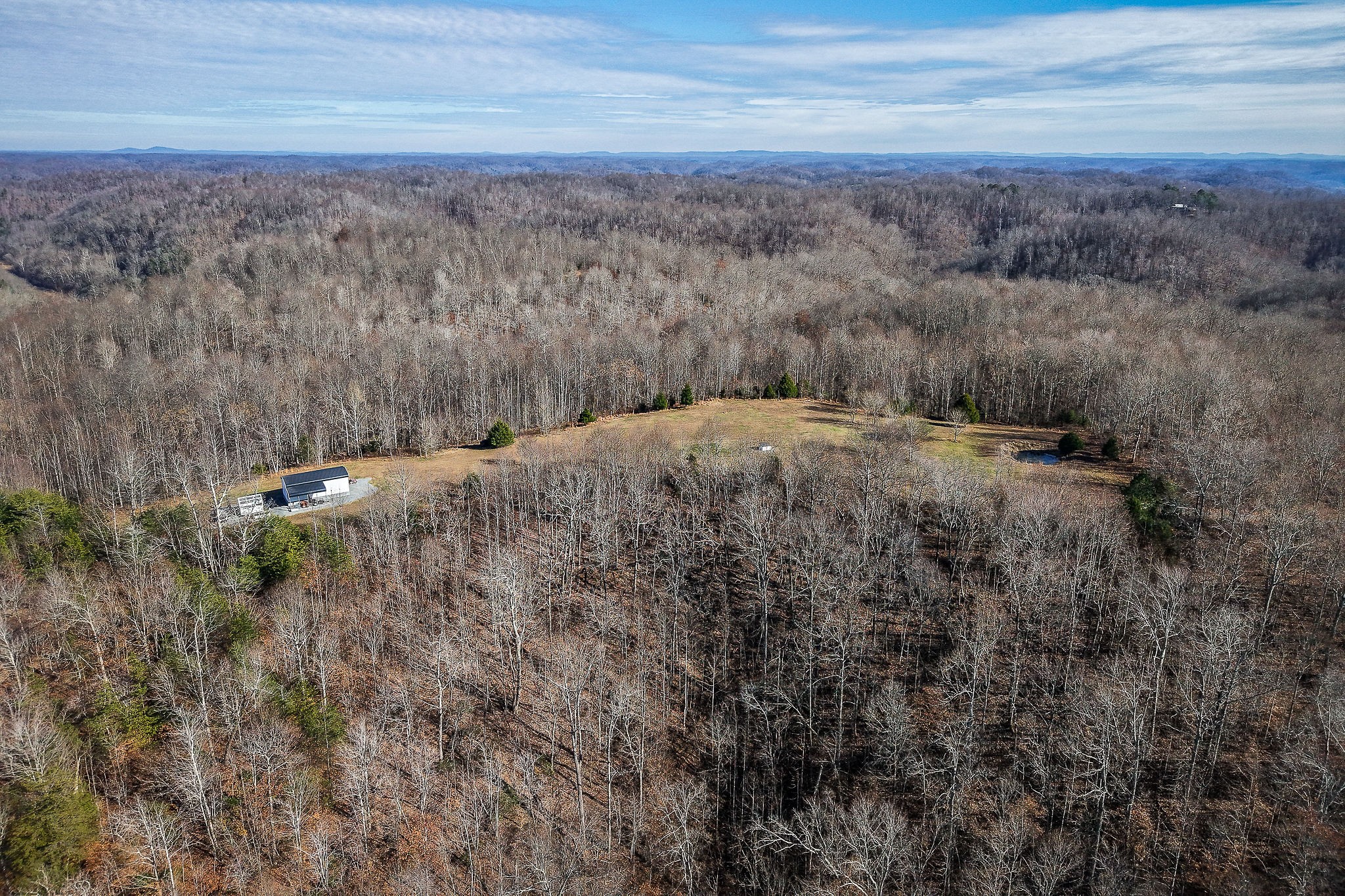 1772 South Fork Road Whitleyville, TN 38588 - Photo 5 of 38 a view of a dry yard with green space